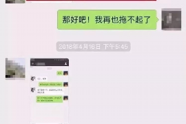 辽宁为什么选择专业追讨公司来处理您的债务纠纷？